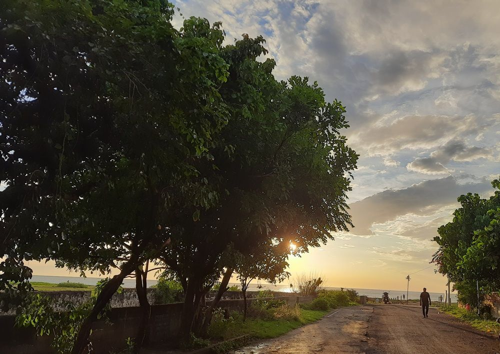 Road to the sea