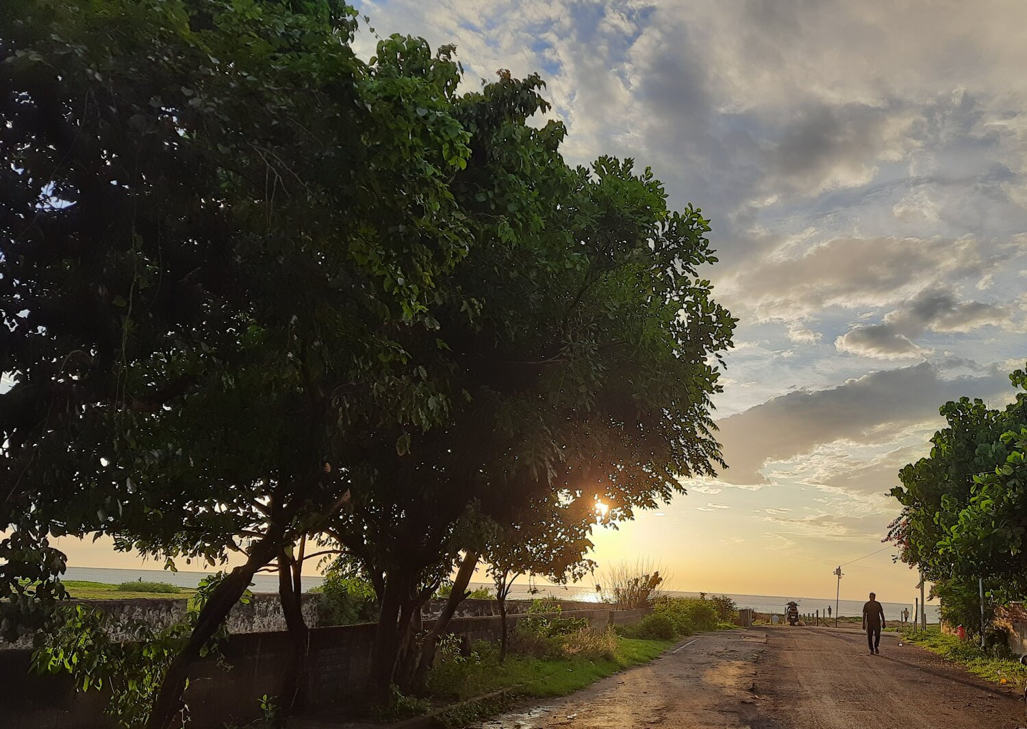 Road to the sea