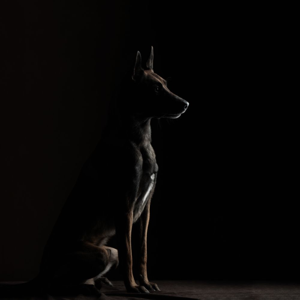 Photograph by Юлия Зубкова