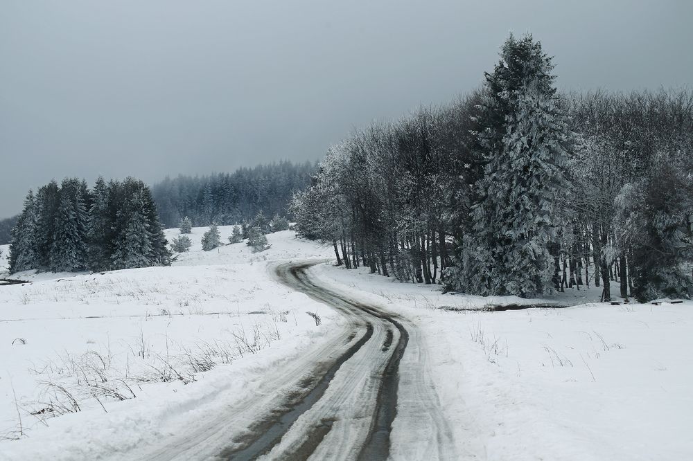 Photograph by Ralitsa Byalkova