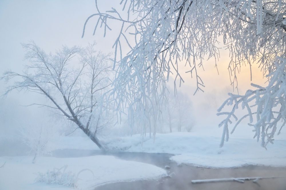 Photograph by Юрий Гау