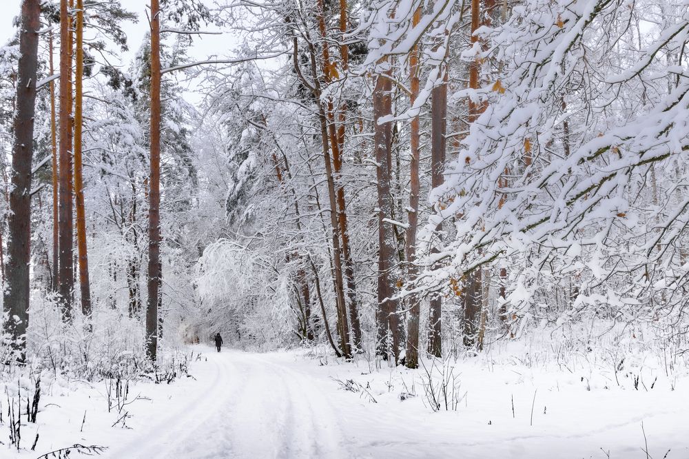 Photograph by Valdis Serzhans