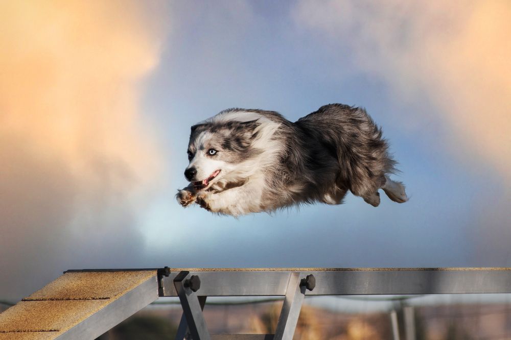 Photograph by leticia pascual garcia