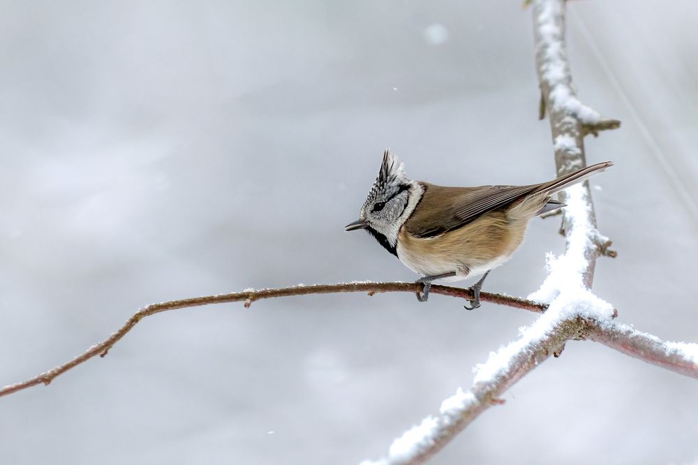 Photograph by Александр Соловьев