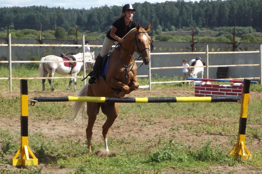 Photo #10002894
