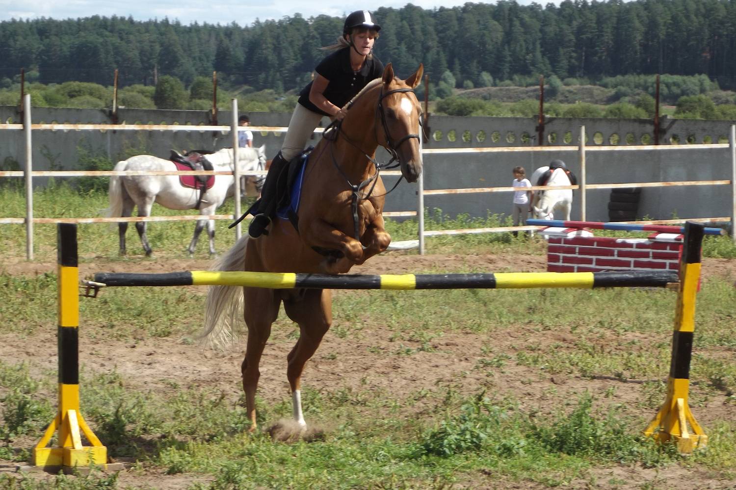 Photo #10002894