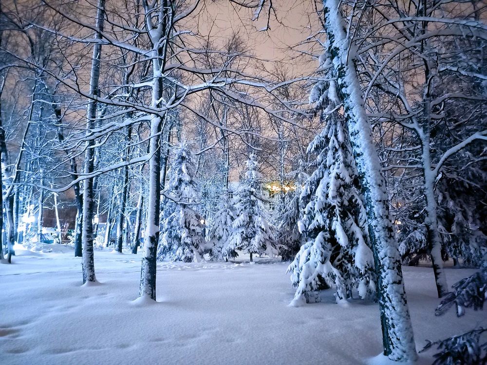 Photograph by Ольга Юрченко