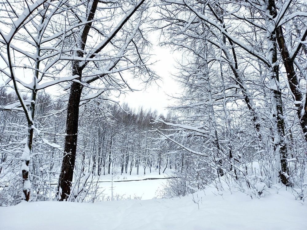 Photograph by Ольга Юрченко