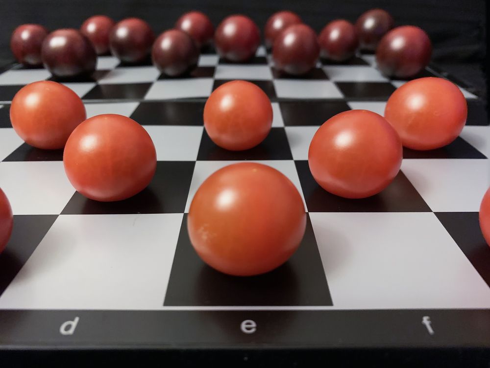 противостояние