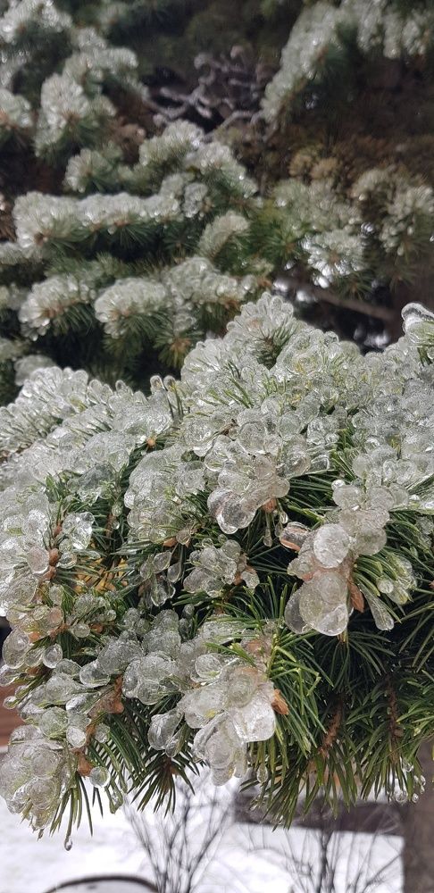 Фотография автора Ольга Мусина