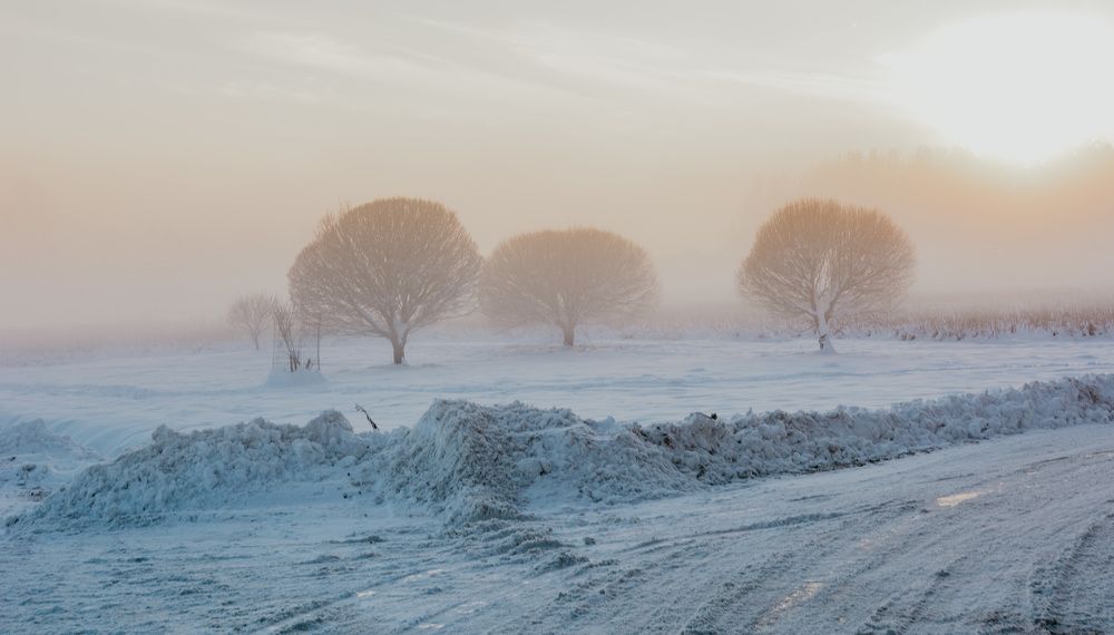 Photograph by Violeta