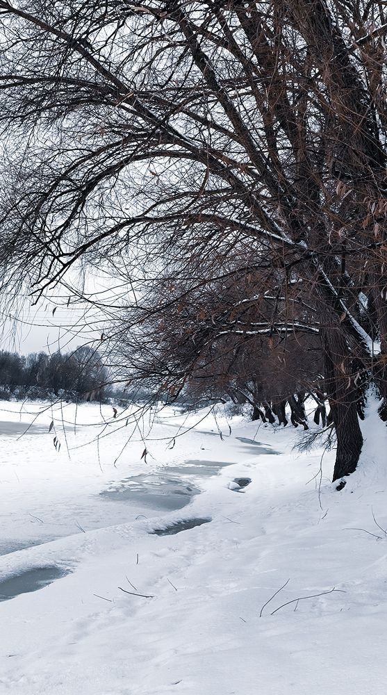 Photograph by Оксана Хабарова