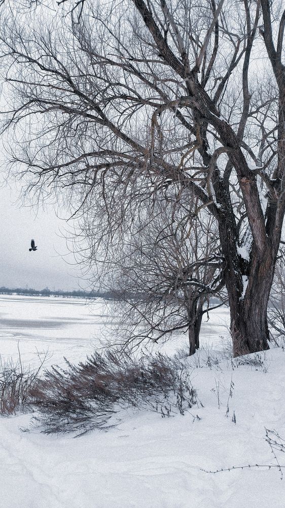 Photograph by Оксана Хабарова