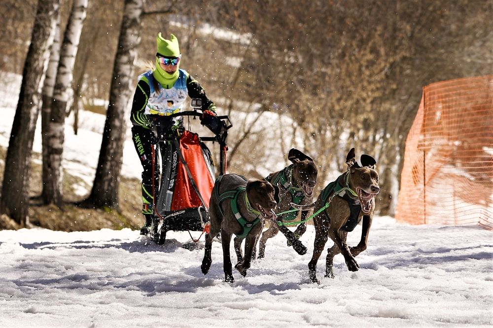 Photograph by Елена Одынец