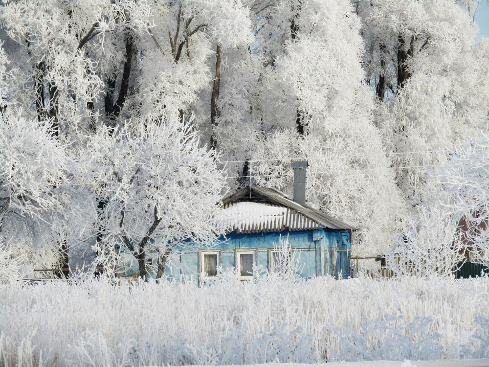 Жила зима в избушке.