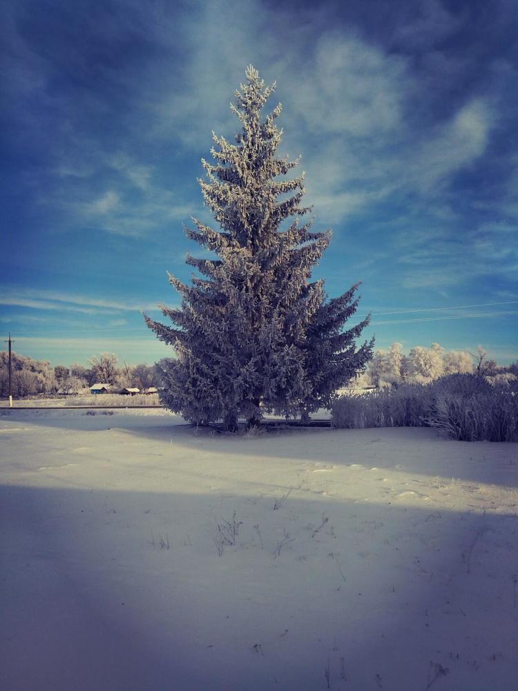 Photograph by Лариса Басова