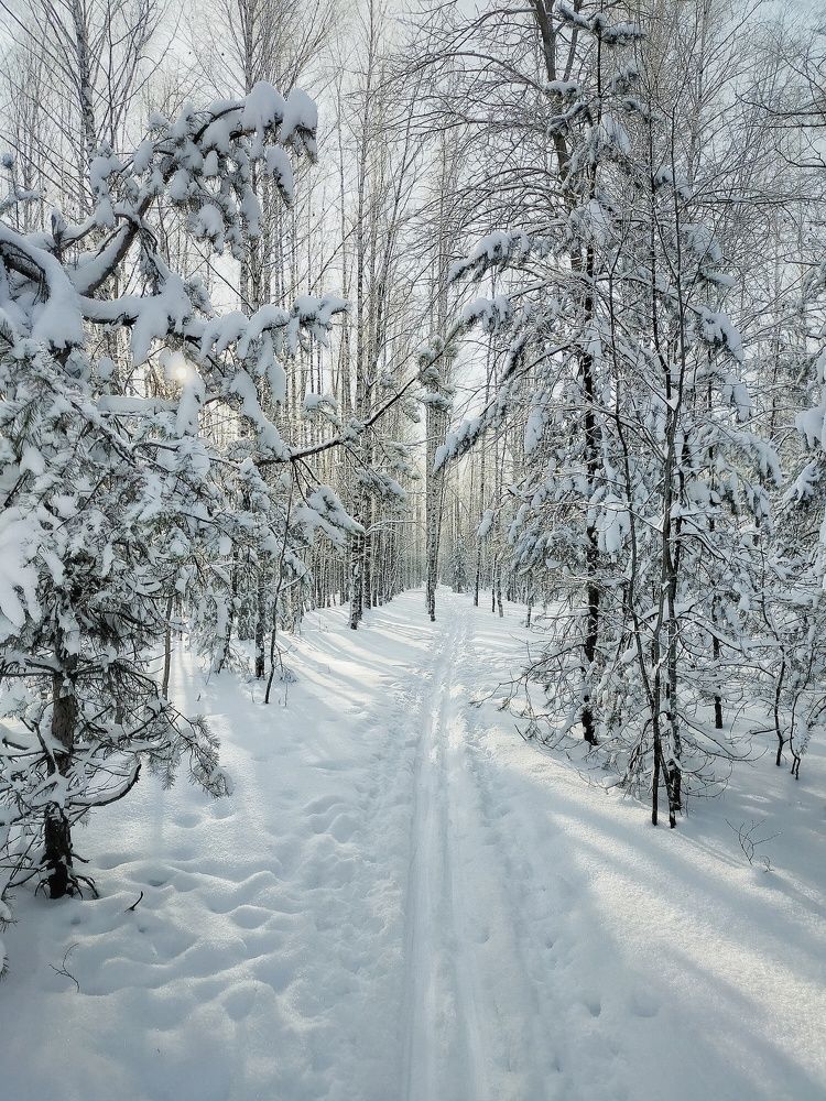 Photograph by Ольга Мартьянова