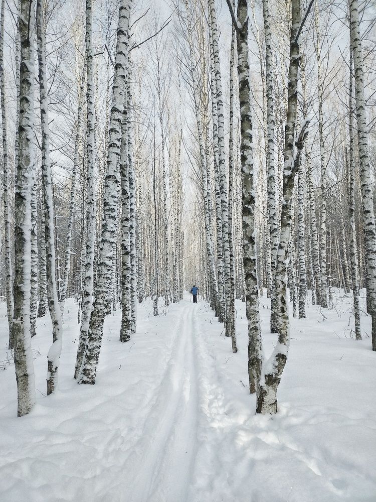 Photograph by Ольга Мартьянова