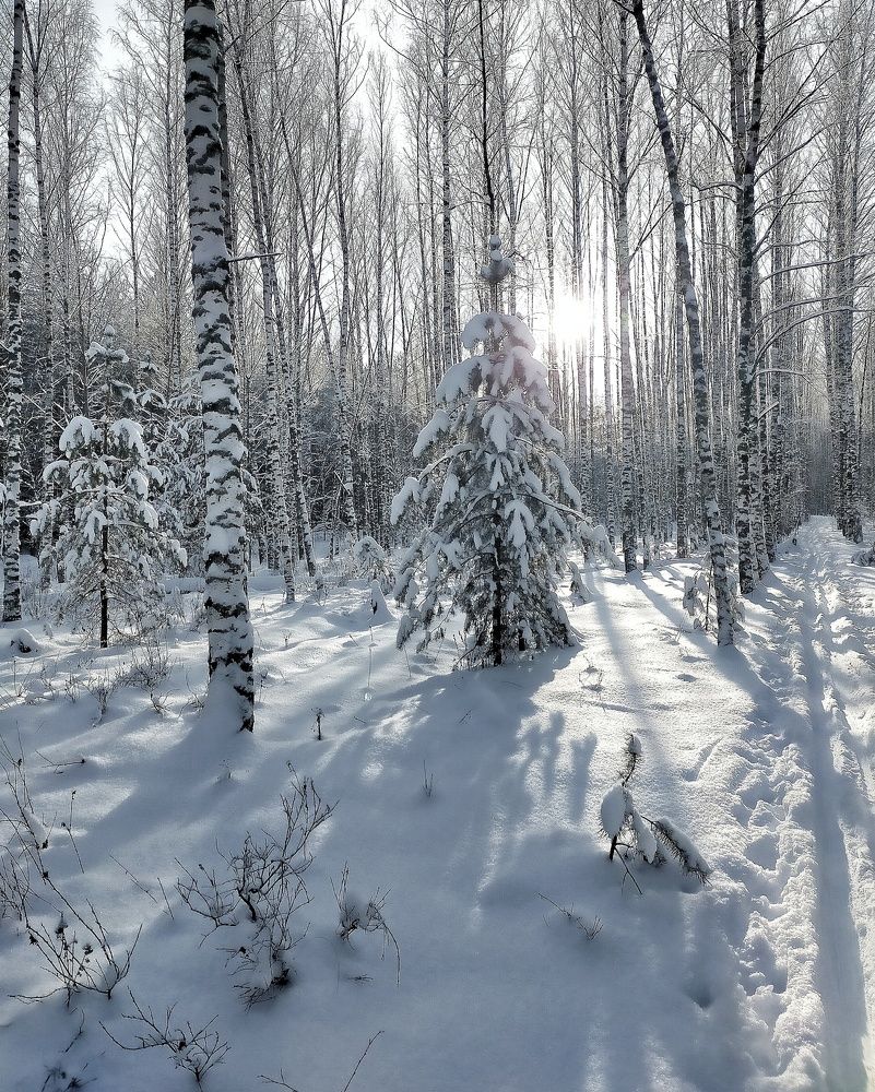 Photograph by Ольга Мартьянова