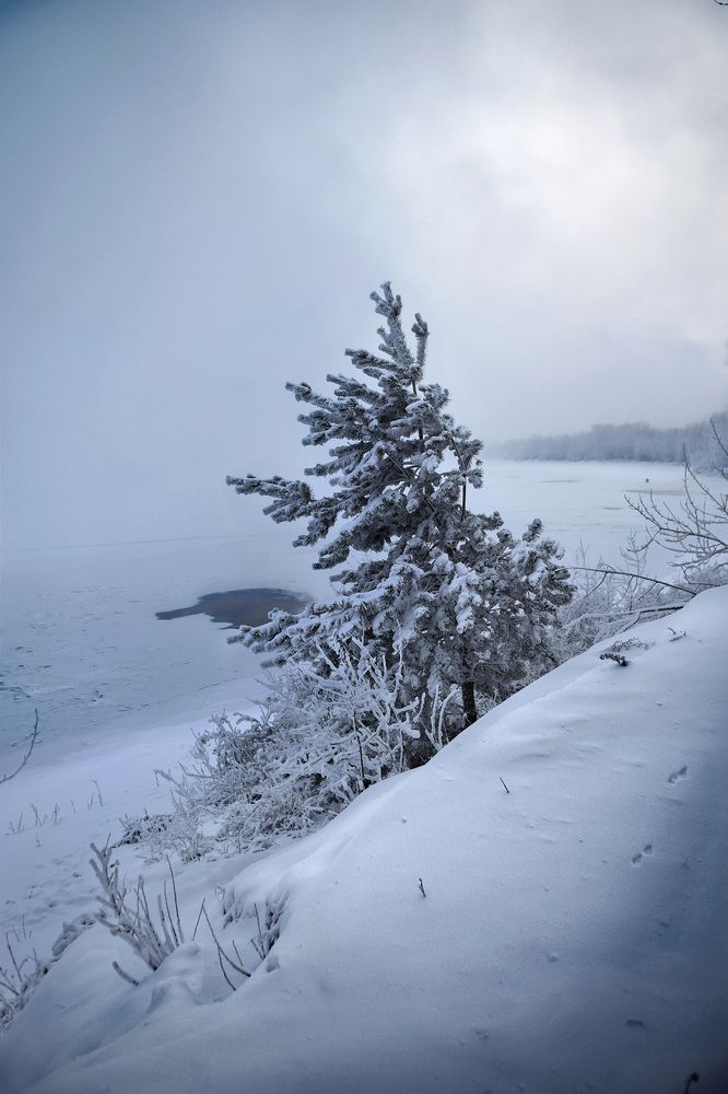 Photograph by Светлана Крат