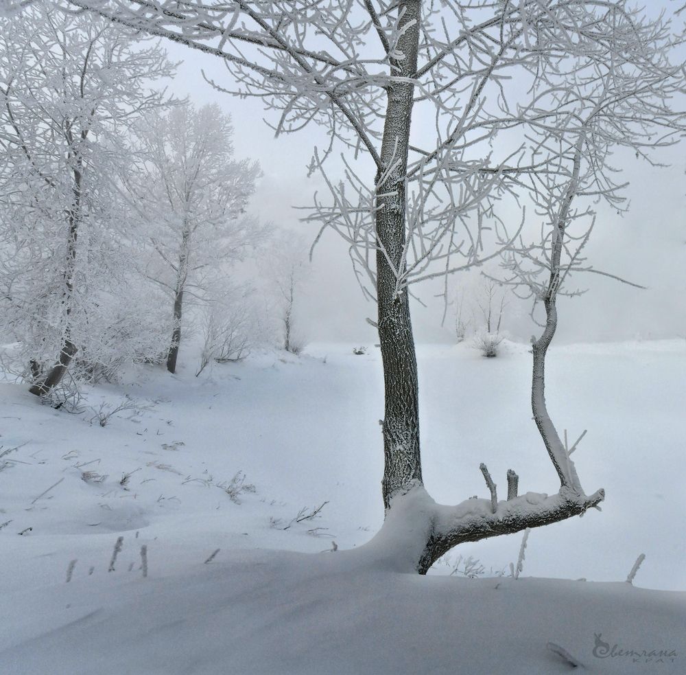 Photograph by Светлана Крат