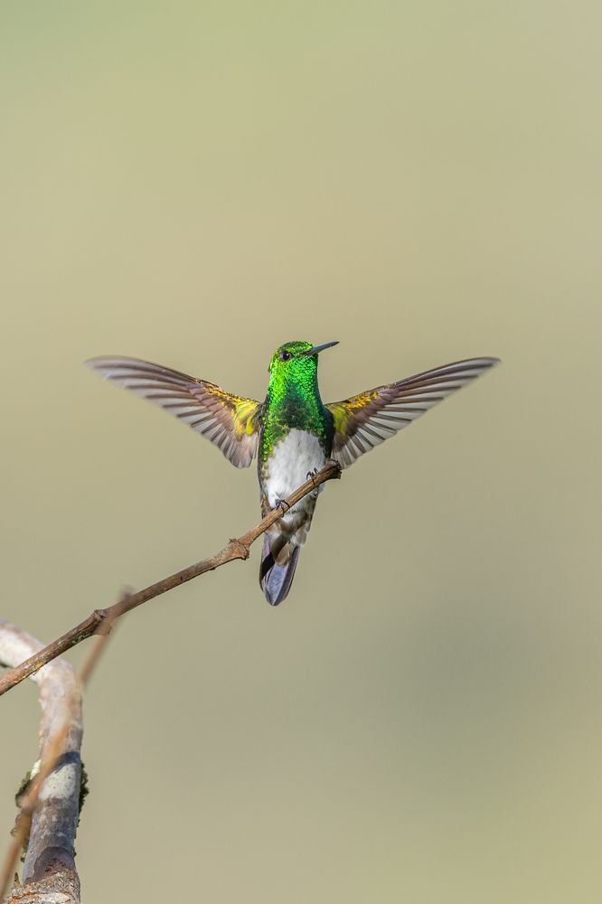 Photograph by Ricardo Ferreira