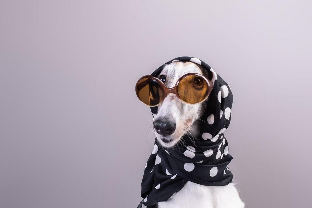 Photograph by наталья залогина