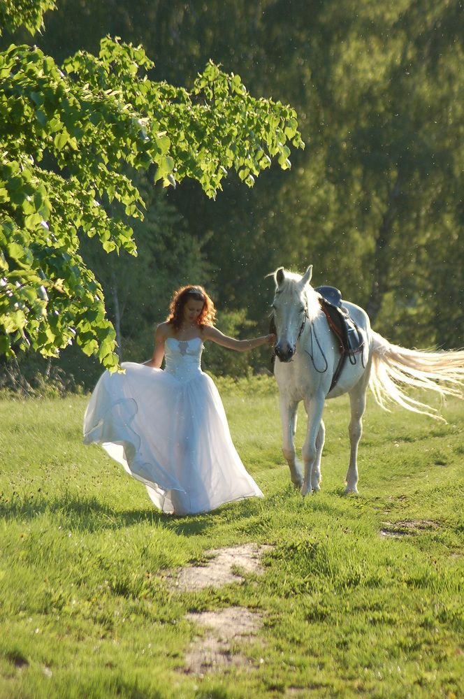 Photograph by Владимир Емельянов