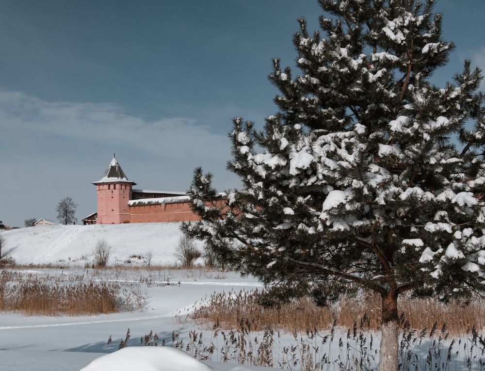 Photograph by Ирина Заворуева