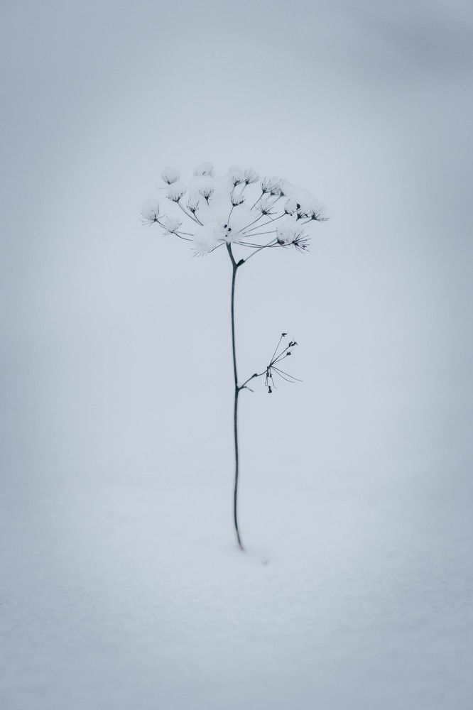 Photograph by Иван Кривоносов