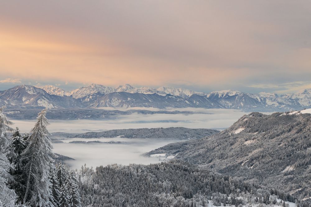 Foggy Valley in Winter