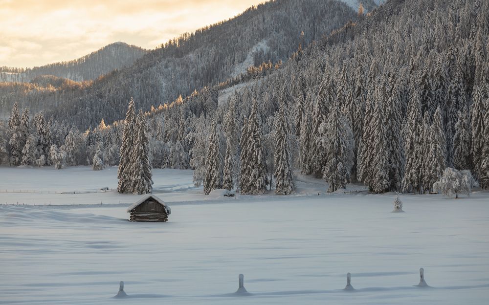The Hut in the Snow
