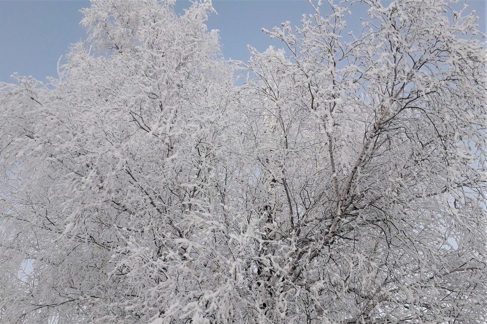 Photograph by Удовченко Елена