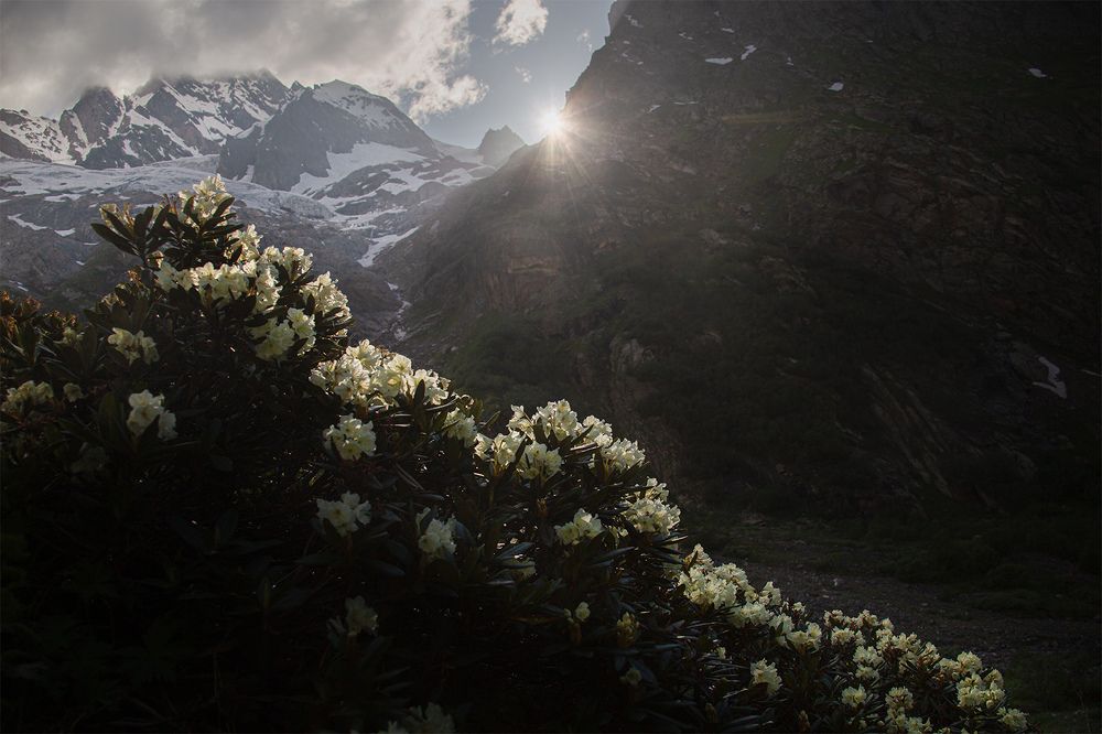 Фотография автора Денис Макаренко