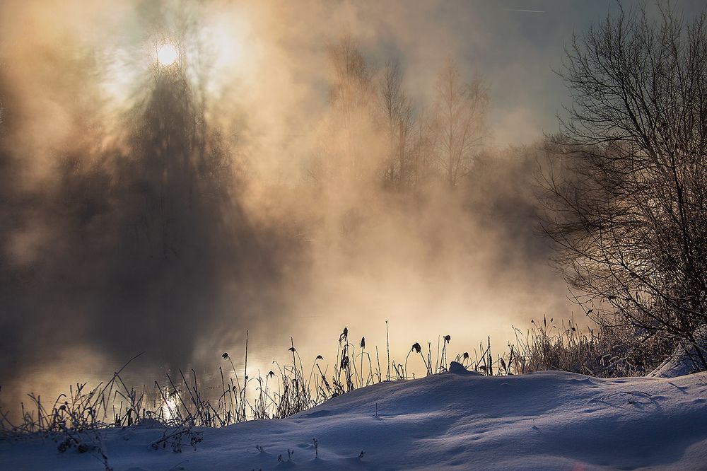 Фотография автора Денис Макаренко