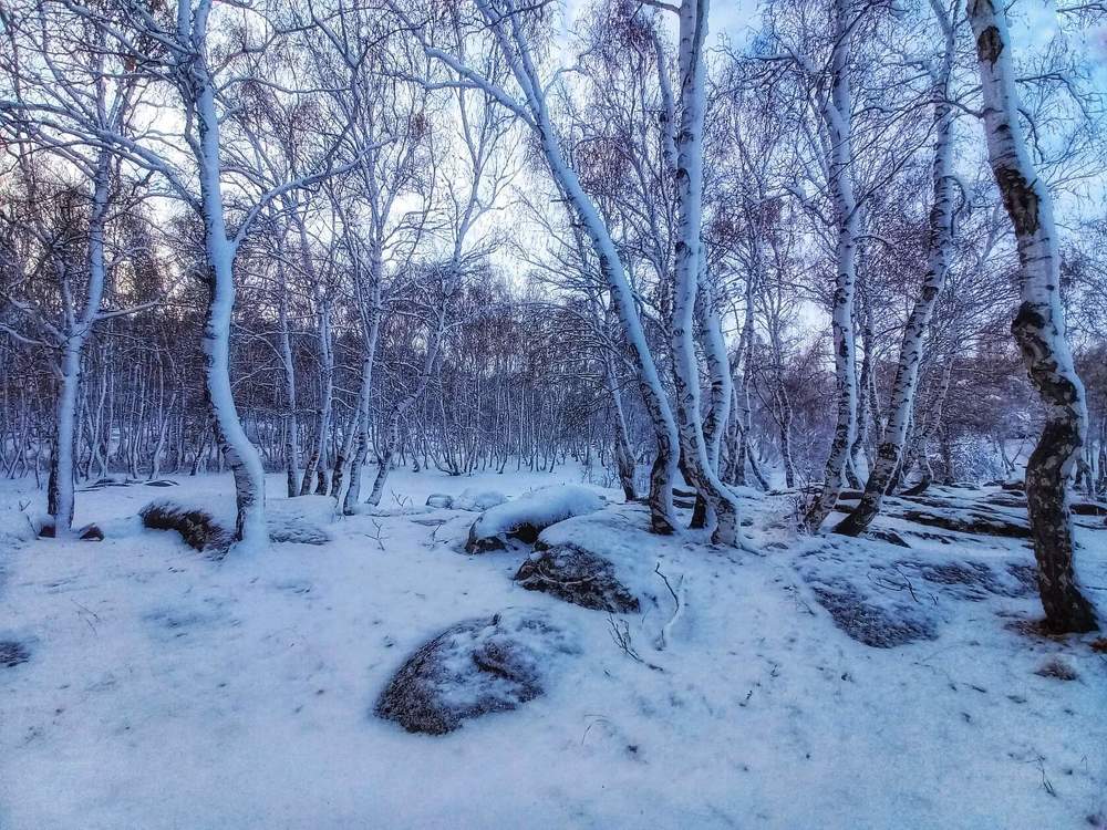 Photograph by Александра Королёва