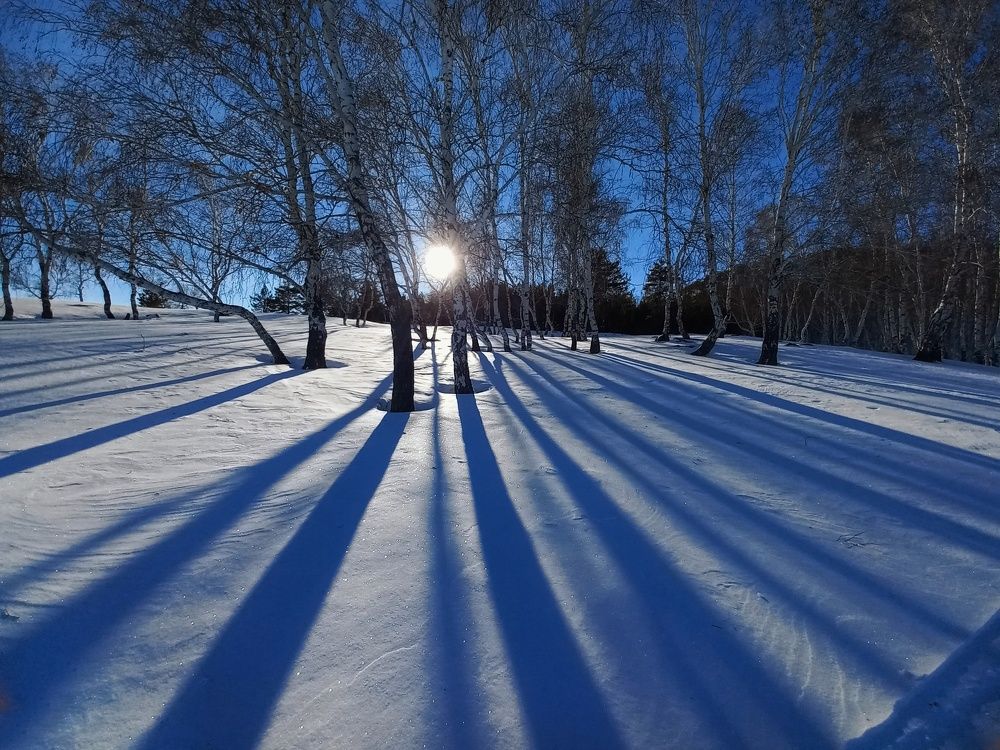 Photograph by Александра Королёва