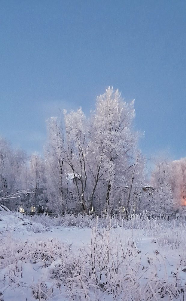 Photograph by Соколова Елена