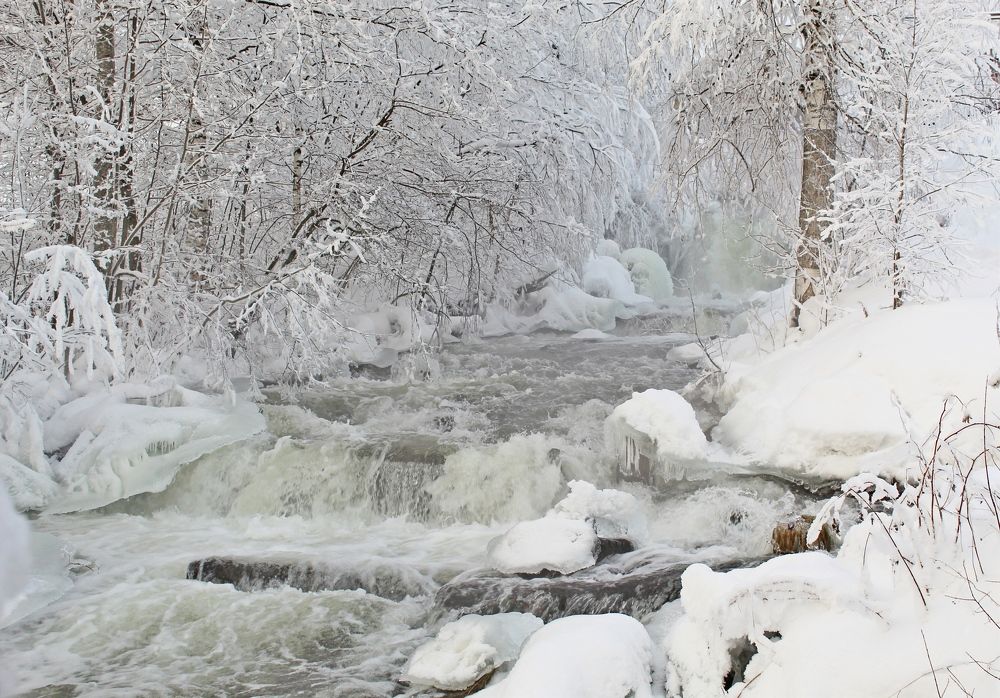 Photograph by Юлия Иванова