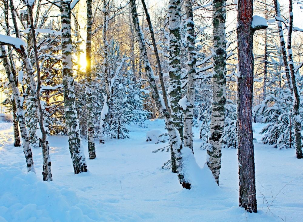 Photograph by Юлия Иванова