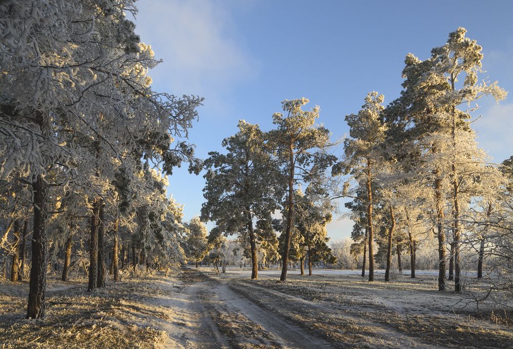 Photograph by Александр Белянский
