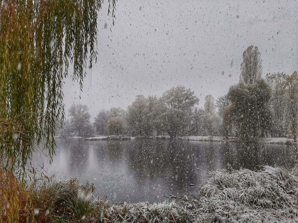 Photograph by Юлия Коробкова