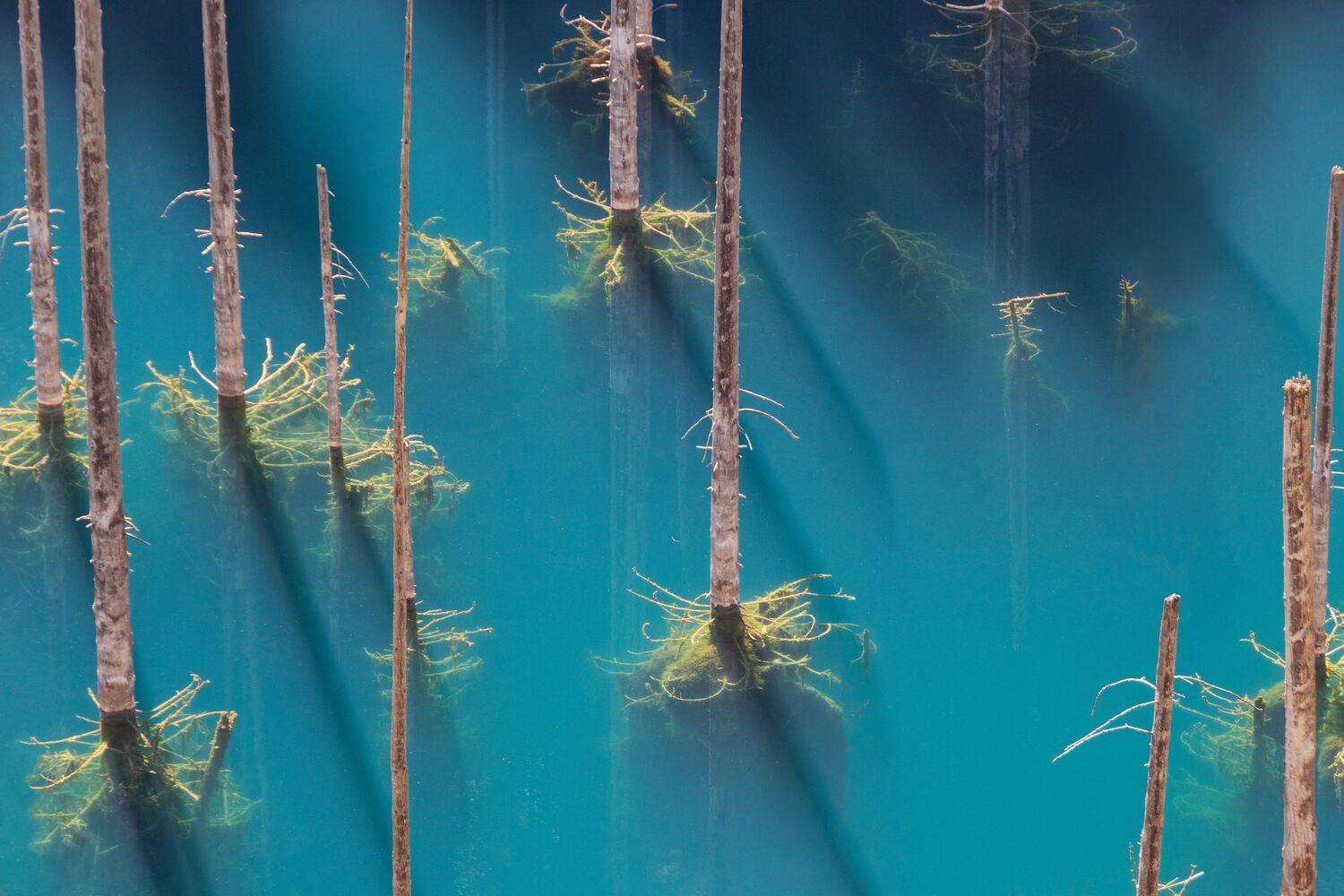 Фотография #10003515