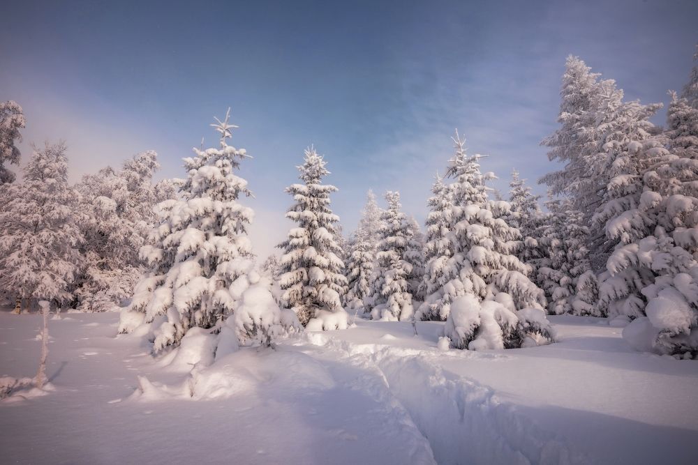 Photograph by Соколова Елена