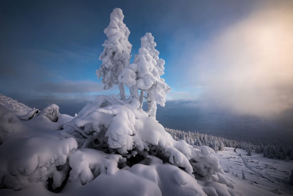 Photograph by Соколова Елена