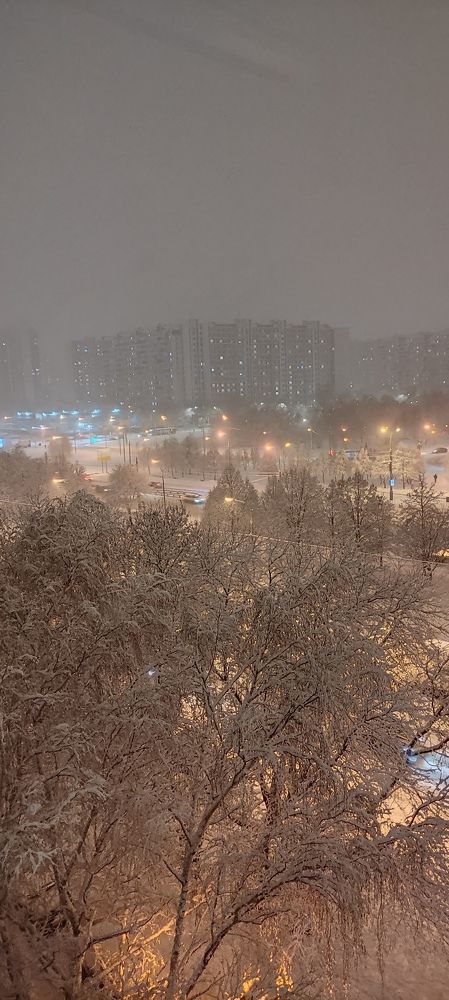 Фотография автора Васильева Ирина