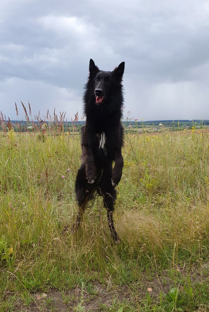 Фотография автора Надежда Лисицына