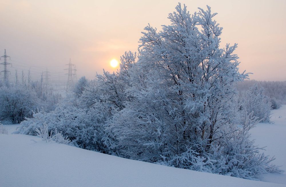 Photograph by Татьяна Раковская