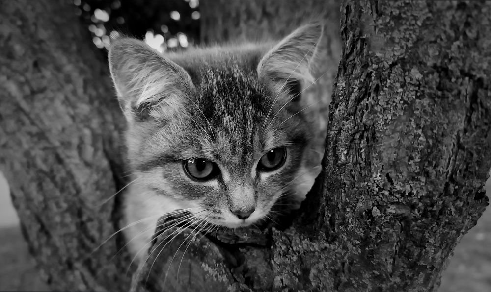 Photograph by Татьяна Смирнова