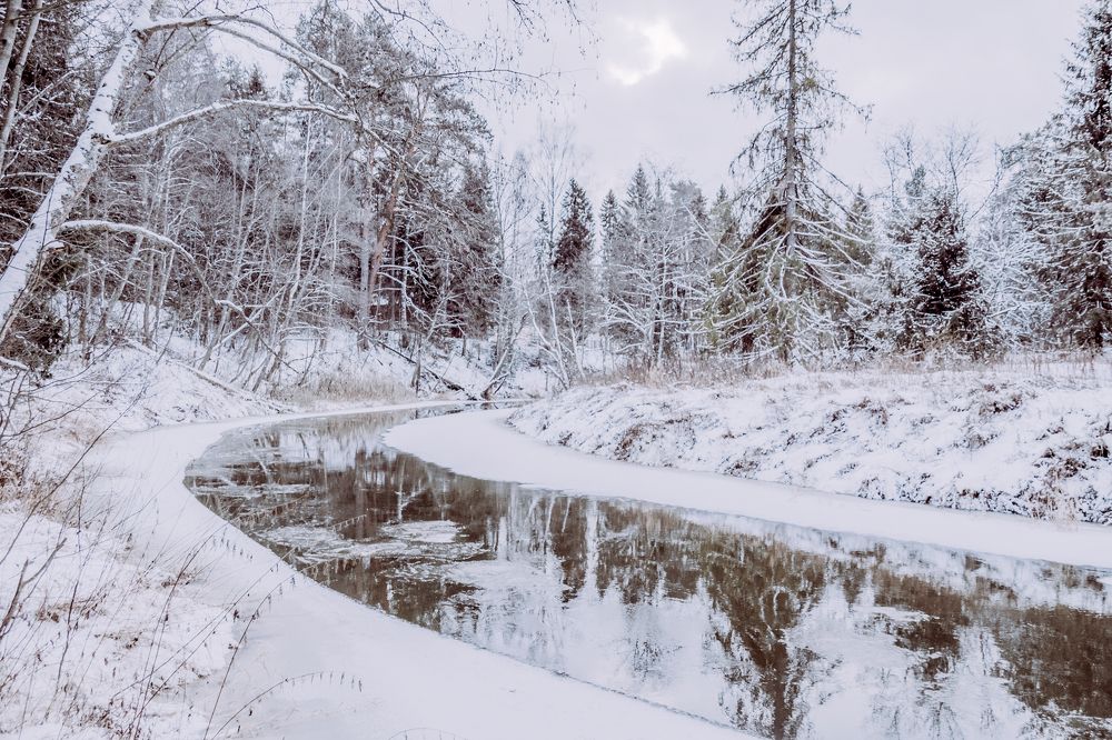 Photograph by Елена Ефимова